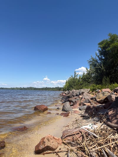 A picturesque scene unfolds along the rocky shore of the Dnipro River in Lebedivka, Ukraine. The water, a murky brown, laps gently against the sandy beach, its surface rippled by a light breeze. Large, reddish-brown boulders are scattered along the shoreline, some partially submerged in the water, others forming a natural barrier against the sand. Behind the rocks, lush green trees form a dense treeline that stretches across the horizon, meeting a clear blue sky dotted with a few wispy white clouds. The overall impression is one of natural beauty and tranquility.