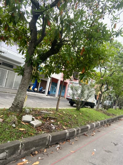 The image shows a street in Margaasih, Indonesia (latitude: -6.969, longitude: 107.553). A large tree with green leaves stands in the foreground, its roots visible on the ground. Several concrete blocks are scattered around the base of the tree. A concrete curb separates the sidewalk from the street. A white truck is parked on the side of the street, with several other vehicles visible in the distance. The street is paved and appears to be relatively quiet with a red line painted down the middle. The buildings on the opposite side of the street are partially obscured by the tree. The image is taken from a low angle, looking towards the street.