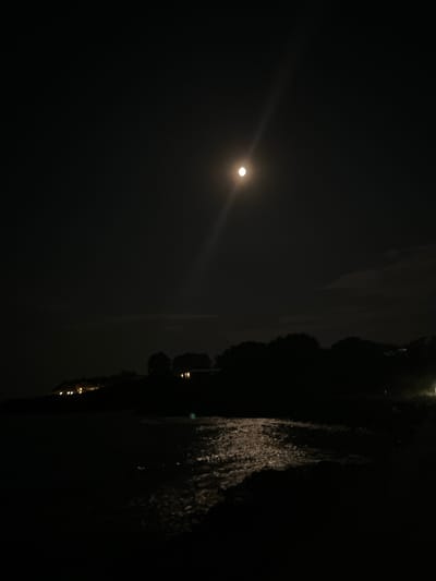 The image shows a nocturnal scene with a full moon illuminating a body of water. In the foreground, dark rocks line the shore. The water's surface reflects the moonlight, creating a shimmering effect. In the mid-ground, a dark silhouette of trees and vegetation is visible along the coastline. Behind the trees, a few scattered lights suggest the presence of buildings, possibly houses or resorts. The overall ambiance is serene and tranquil, characteristic of a peaceful night by the sea. The location appears to be the coast of Lozenets, Bulgaria, a Black Sea resort town known for its beaches and natural beauty. The image captures the charm of Lozenets at night, with the moonlit sea and the subtle glow of distant lights painting a picturesque scene.
