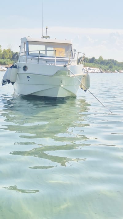 A white recreational boat is anchored in clear, shallow water. The boat has a cabin with large windows and a railing. Two white fenders hang from the side of the boat. A metal pole extends upwards from the boat. The boat is tethered by a rope that leads out of frame. The seabed is visible through the water, with sand and possibly seaweed. The background shows a tree-lined shore with some white structures. The sky is light blue with some white clouds. This scene is consistent with a view from a coastline in Taranto, Italy, possibly near a beach or marina.
