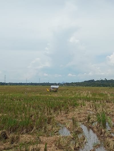 The image depicts a post-harvest paddy field in Pulo Lhok, Indonesia. The field is predominantly covered in dry stubble and some patches of green grass, with standing water in channels and depressions. A small, makeshift shelter with a wooden frame and a corrugated metal roof stands in the middle ground, partially obscured by yellow material. In the distance, a line of tall electricity pylons stretches across the horizon, silhouetted against a cloudy sky. A dense line of trees and vegetation forms a backdrop to the pylons. The sky is overcast with large, white clouds. There are no people or animals visible in the image.