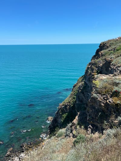 The image depicts a rugged, rocky cliffside overlooking a clear, turquoise sea under a bright blue sky. The cliff is sparsely covered with dry grasses, scrub brush, and occasional wildflowers, some of which are yellow and red. The sea displays variations in color, from deep blue to vibrant turquoise, revealing submerged rocks and a small white bird flying low over the water. The coastline is irregular, with rocky outcrops and waves gently lapping at the base of the cliff. The scene is characteristic of the natural beauty found in the area around Balgarevo, Bulgaria, known for its dramatic coastal landscapes and clear waters.