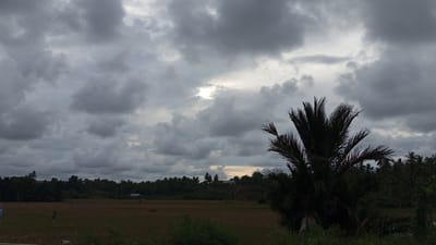 An overcast sky looms over a rural landscape in Buketteukuh, Indonesia. The sky is filled with heavy, dark grey clouds, with a patch of brighter light visible through a break in the clouds in the upper center of the image. In the foreground, a large, dark green palm tree dominates the right side of the frame, its fronds silhouetted against the sky. Beyond the palm tree, a field of dry, brown vegetation stretches across the middle ground. In the distance, a dense line of trees, primarily palm trees, forms a backdrop. A few small structures, possibly houses or sheds, are visible nestled within the trees. The overall impression is one of a tropical scene under stormy weather.