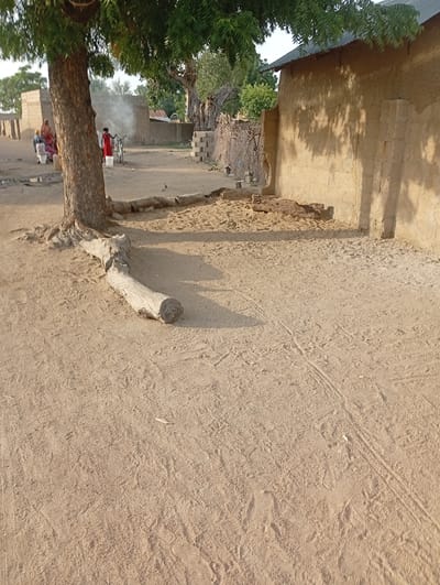 In Gulak, Nigeria, a scene unfolds in what appears to be a village or settlement. In the foreground, a large tree with dense green foliage provides shade, its trunk weathered and its roots exposed. A thick, light-colored log lies on the sandy ground in front of the tree, appearing to be a fallen branch or remnant of construction. The ground is covered in light brown sand, marked with faint tire tracks or footprints, suggesting recent activity.
In the middle ground, several people are visible near a cluster of buildings made of mud or adobe. One person, dressed in a red garment, stands next to a bicycle with a white bucket attached to it. Steam rises in the background, possibly from a cooking fire or water being heated. Other individuals, some in headscarves, are gathered nearby, seemingly engaged in daily chores. The buildings are simple structures with corrugated metal roofs, characteristic of rural Nigerian architecture.
The setting is outdoors, under what appears to be daylight, with shadows cast by the trees and buildings indicating a time of day when the sun is not directly overhead, possibly late morning or afternoon. The overall atmosphere seems tranquil and typical of a rural community going about its daily life. There is no visible text in the image.
