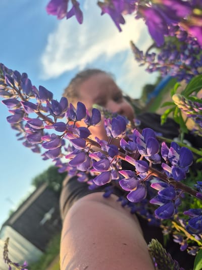 The image is an extreme close-up, low-angle shot of purple lupine flowers in the foreground. The flowers are out of focus in some areas, and in sharp focus in others, with the petals showing intricate detail and vibrant color. Behind the flowers, a person is visible, out of focus, their face partially obscured by the blooms. The person is wearing a dark top. To the left and bottom of the image, a wooden structure, possibly a shed or fence, is visible in the background, also out of focus. The sky above is blue with some white clouds, suggesting it is daytime. The scene appears to be outdoors. Based on the provided information, the location is identified as Дойная, Russia.