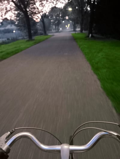 The image depicts a first-person perspective of someone riding a bicycle on a paved path. The path is flanked by vibrant green grass on the left and the right. In the background, a row of trees line the path, some with bare branches, suggesting it could be early spring or late autumn. Streetlights are visible in the distance, casting a soft glow, and there is a slight misty or foggy atmosphere. The handlebars of the bicycle, made of shiny metal, are prominent in the foreground, with brake cables extending from them. The motion blur indicates the bicycle is in motion. The scene is characteristic of the many cycling paths found throughout Almere, Netherlands, where cycling is a primary mode of transportation and recreational activity, often integrated into the city's green urban planning.