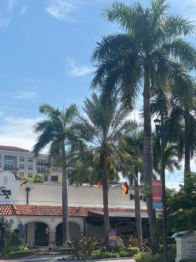 The image depicts a street scene in Boca Raton, Florida, United States of America, featuring a commercial building with Spanish-style architecture and a prominent tiled roof. Several tall palm trees are visible in the foreground, with their fronds reaching towards a bright blue sky with wispy clouds. The building has a white stucco facade with arched entrances and decorative details. A sign on the building reads "Man Cave." German flags are displayed on the building. A street lamp with multiple lights stands near a palm tree, and a banner on a lamppost advertises "Downtown Boca Culture." In the background, a multi-story building with balconies and numerous windows can be seen. The overall environment suggests a warm, sunny day in a developed urban area.