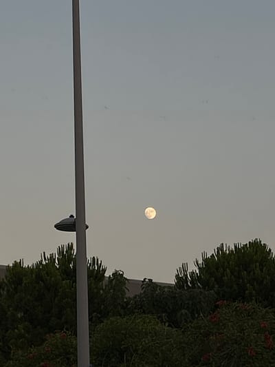 The image shows a streetlamp in the foreground, with a full moon visible in the sky behind it. Lush green trees and some red flowers are visible at the bottom of the frame, suggesting an outdoor setting. The lighting suggests it is either dusk or dawn, with the moon illuminated. The streetlamp is a modern design, with a dark colored cap. The background is a clear sky, with a soft gradient of color from light blue to a pale yellow/orange at the horizon. The overall impression is a peaceful and serene evening or morning scene.