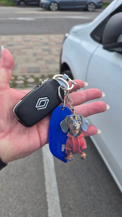 A close-up, high-angle shot shows a person's hand, with long, light-colored fingernails, holding a set of car keys. The keys are attached to a keyring with a blue tag and a novelty dachshund keychain wearing a red hoodie. The car keys themselves are black and feature a silver logo, possibly of the Renault brand. The background shows a blurred view of a paved surface with white lines, suggesting a parking lot or road. In the further background, two cars are visible, one dark and one grey, parked on a similar surface. The overall environment appears to be outdoors, possibly in a city setting like Līvāni, Latvia, indicated by the context. The lighting is natural and diffused.