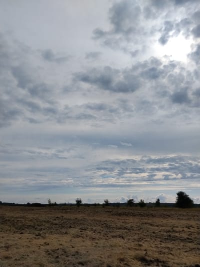 The image depicts a wide, open field in the city of Ustyvytsya, Ukraine. The field appears to be freshly plowed, with loose, dark brown soil mixed with dry, light brown straw and grass. In the distance, a low, undulating horizon is visible, dotted with scattered trees, some appearing as dark silhouettes against the sky. The sky itself is dramatically overcast with a thick layer of grey clouds, but a bright patch of sunlight is breaking through on the upper right side, illuminating the clouds from behind. The overall impression is of a rural, agricultural landscape under a dynamic, cloudy sky.