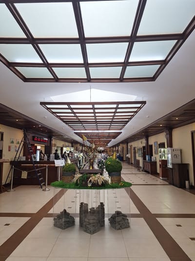 The image shows the interior of a hotel lobby or a similar establishment. The space is long and narrow with a high ceiling featuring a grid of illuminated panels framed by dark wood. The walls are cream-colored, also with dark wood trim. The floor is tiled with a pattern of light and dark brown squares and rectangles.

In the foreground, there is a decorative display on a clear acrylic table with clear acrylic supports. The display consists of three clear boxes filled with stacked dark gray stones, topped with a circular green mat resembling grass. On top of the mat are two large spherical topiary bushes, one with a small yellow cone-shaped hat on it, and a rustic chest decorated with wheat stalks and other natural elements.

Further into the lobby, there is a reception desk with a Coca-Cola advertisement visible. A blue ladder leans against the reception desk, suggesting ongoing maintenance or setup. Several people are behind the reception desk. Down the corridor, more doors and rooms are visible, along with some art on the walls and what appears to be a water dispenser.

The overall atmosphere is formal and somewhat dated, with a focus on natural materials and decorative displays. The specific location in Peterhof, Russia, is not visually apparent from the image itself but would be contextual information.