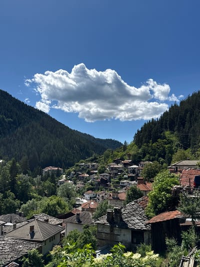 The image depicts a panoramic view of the village of Shiroka Laka, Bulgaria, nestled within a valley. The foreground is dominated by a cluster of traditional Bulgarian houses with distinctive stone-tiled roofs, some appearing weathered and aged. These houses are densely packed and built on a sloping terrain, surrounded by lush green trees and foliage. Further into the background, more houses with red-tiled roofs are visible, ascending the hillsides. The village is framed by steep, tree-covered mountains on either side, with dense coniferous forests blanketing the slopes. Above the mountains, a clear blue sky stretches across the frame, punctuated by a large, fluffy white cloud. The overall impression is one of a picturesque, rural mountain village bathed in bright sunlight. There are no people or animals visible in the image, and no specific actions or interactions are taking place. The scene is static and captures a serene moment in time.