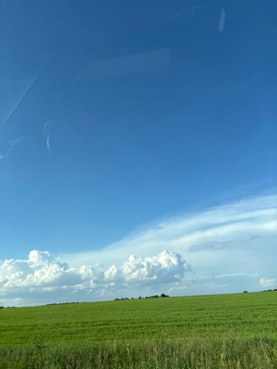 This media file shows a landscape view from Perevoznoye, Russia. The scene is dominated by a vast expanse of blue sky with scattered clouds. The clouds are varied, with some appearing as wispy cirrus formations stretching across the sky, and others as larger, more dramatic cumulus clouds. In the lower right portion of the image, a vibrant green field stretches towards the horizon, suggesting a rural or agricultural setting. The field appears to be crops, possibly wheat or barley, given its dense and uniform appearance. A line of trees can be seen in the distance, bordering the field. The image is oriented vertically, with the sky occupying the majority of the frame and the field appearing on the right side. The lighting suggests it is daytime, likely midday or early afternoon, with bright sunlight illuminating the scene. The weather appears fair and clear, with the dramatic clouds adding visual interest to the sky. There are no people or specific objects clearly discernible in the image, beyond the natural elements of sky, clouds, field, and trees. The overall impression is one of a serene and expansive natural landscape under a bright sky.