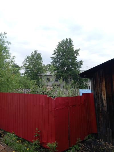 The image depicts a scene in a residential area of Aldan, Russia. In the foreground, a bright red corrugated metal fence runs across the lower portion of the frame, with some greenery and small yellow wildflowers growing near its base. To the right of the fence, the weathered wooden planks of a structure are visible, suggesting a shed or outbuilding. Behind the fence, a multi-story building with a light-colored facade and visible windows can be seen, partially obscured by trees. Two large trees with dense green foliage are prominent in the midground, with other vegetation present. The sky above is overcast with gray clouds. The overall impression is of a somewhat unkempt, rural or suburban setting.
