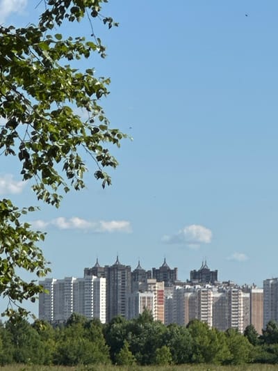 The image captures a panoramic view of a suburban landscape with a clear blue sky dotted with a few wispy clouds. In the foreground, lush green trees dominate the lower portion of the frame, with a branch laden with green leaves extending from the upper left corner. Behind the trees, a cityscape unfolds, showcasing a dense cluster of modern apartment buildings. These high-rise structures are a mix of white, beige, and gray, with some featuring red accents. Distinctive pointed spires crown several of the taller buildings, giving the skyline a unique architectural character. The overall scene suggests a sunny day in a residential area. This scene is characteristic of the city of Dubrovitsy, Russia.