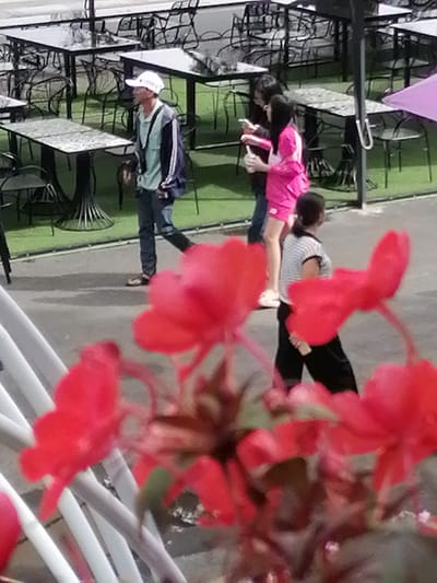 The image shows a man wearing a white cap, a light blue shirt, and a dark jacket walking past tables and chairs outside. He is looking to his right. Behind him, two women are visible, one in a pink top and shorts, the other in a striped shirt and dark pants. Red flowers are in the foreground, partially obscuring the view of the scene. The background shows more tables and chairs, some with umbrellas. The setting appears to be a cafe or restaurant in an outdoor area. This scene is consistent with locations around Xuân Hương Lake in Đà Lạt, Vietnam, which is known for its numerous cafes and restaurants with outdoor seating.