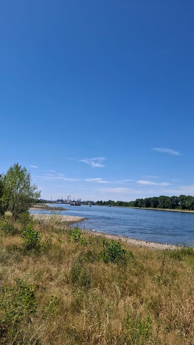 The image shows a wide river with a clear blue sky overhead. On the left bank of the river, there is a patch of dry grass and some green bushes. In the distance, along the river, there are industrial facilities with multiple tall structures and smokestacks. The right bank of the river is lined with dense green trees. A few boats are visible on the water. The scene is likely a view of the Rhine River in Cologne, Germany, showcasing the coexistence of nature and industry.