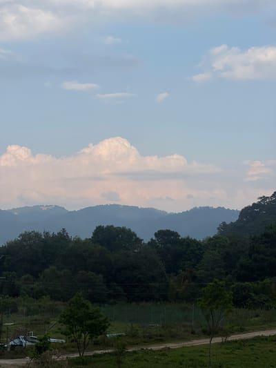 The image shows a landscape with a view of mountains, a forest, and a field or grassy area, likely in a rural or semi-rural setting. The sky is visible with scattered clouds. There is no indication of the location being in La Esperanza, Honduras in the image. Without any people or objects in the immediate foreground, it's difficult to ascertain a specific action or interaction. The environment consists of a mix of natural elements: sky, clouds, mountains, trees, grass.