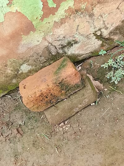 Two weathered, rectangular clay bricks are stacked on the ground in front of a mottled, textured wall. The wall exhibits patches of peeling paint in shades of green and brown, with areas of exposed concrete or plaster. The ground beneath the bricks is composed of dark, dry soil with scattered debris, including small stones and dried grass. To the right of the bricks, a cluster of small green plants with delicate leaves is growing. The scene suggests an outdoor, possibly neglected, environment. The specific location within Sunkani, Nigeria is not discernible from the visual information provided.