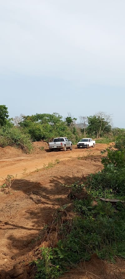 This vertical full shot captures an unpaved, reddish-brown dirt road winding through a rural, verdant landscape in Otunade, Nigeria, under a bright, clear sky. Two pickup trucks are visible on the road.

In the mid-ground, a silver/grey pickup truck, possibly a Toyota Tacoma, is parked or moving away from the viewer. Its rear is clearly visible, displaying a Nigerian license plate that reads "LAGOS GGE 559GB". Slightly further down the road and to the right, a white pickup truck, likely a Toyota Hilux, faces generally towards the viewer but is angled away, partially obscured by the silver truck and dense vegetation. Its license plate is less discernible but also appears to be a Nigerian plate.

The dirt road shows distinct tire tracks and appears to be well-used, with raised sections of earth on its edges. Lush green foliage, comprising bushes and small trees, borders the road, with some dried or sparse trees visible in the background, especially near the horizon. The ground immediately adjacent to the road shows disturbed earth, contrasting with the wilder growth beyond. Shadows are cast on the dirt track, indicating a sunny daytime setting with a clear, light blue sky. The scene depicts a functional, rural pathway amidst natural bushland.