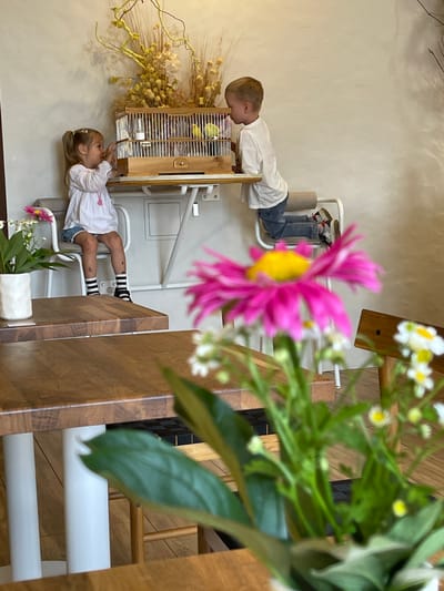 In a brightly lit indoor space, possibly a cafe or pet shop, two young children are captivated by a birdcage. On the left, a young girl with blonde pigtails, wearing a white top and denim shorts with striped socks, leans towards the cage. Her gaze is fixed on the birds inside, and her right hand is extended towards them. To her right, a young boy in a white t-shirt and jeans is positioned on a stool, leaning over the cage to observe the birds. The wooden cage, filled with at least two small yellow birds, sits on a table adorned with dried flowers. The background features a textured light-colored wall and a metal support structure. In the foreground, out of focus, a vibrant pink daisy and other small white flowers in a white vase are visible on a wooden table, partially obscuring the view of the children and the birdcage. The floor appears to be tiled with a checkered pattern in some areas. The image captures a moment of innocent curiosity and interaction with nature within a domestic or public setting.