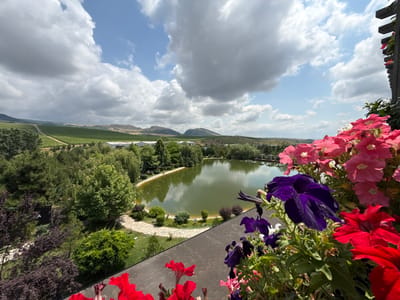 The image captures a serene landscape with a focus on a body of water and surrounding greenery. In the foreground, vibrant petunia flowers in shades of pink, purple, and red cascade over a dark, textured railing, partially obscuring the view. Beyond the flowers, a tranquil, greenish lake is visible, bordered by a winding stone pathway and lush vegetation. The middle ground features a variety of trees, including weeping willows and evergreens, interspersed with manicured bushes. In the background, rolling hills dominate the horizon, with some appearing to be cultivated vineyards, and a few low-rise structures are present. The sky is a mix of bright blue and dramatic, puffy white clouds, suggesting fair weather with some cloud cover. The scene appears to be set in Mirikənd, Azerbaijan, likely a resort or winery given the vineyard and landscaped grounds. There are no people or animals visible in the frame.