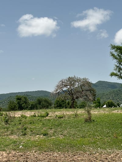 The image depicts a dry, rural landscape with sparse vegetation and a prominent dead tree in the center. The terrain is uneven, with patches of dry soil and scattered green grass. In the background, rolling hills covered in dense green foliage rise against a pale blue sky with a few scattered white clouds. A small white tent is visible in the distance, suggesting a temporary settlement or event. The overall impression is one of a hot, arid environment. The scene is located in Atawa, Nigeria.