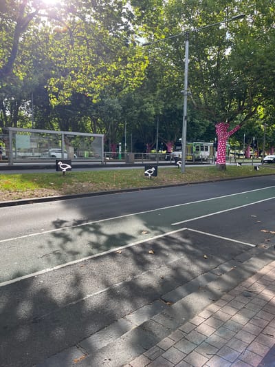 The image captures a vibrant urban street scene on a bright, sunny day in what appears to be Southbank, Australia. The perspective is slightly elevated, looking down along a road that runs diagonally across the frame, from the lower-left foreground towards the upper-right background.
On the left side of the frame, a multi-lane asphalt road is visible. A distinct green-painted lane, bordered by white lines, runs parallel to the main road, likely indicating a dedicated cycle path. To the right of the road, a strip of green grass separates it from a paved area. Further to the right, a textured grey cobblestone-like pavement extends into the distance. Tree shadows are cast across the road and pavement, suggesting the sun is high in the sky, possibly mid-morning or late afternoon, and the bright sun causes a lens flare in the lower left.
Lining the left side of the road is a row of mature, leafy green trees, providing ample shade. Interspersed among the trees and along the grass verge are various urban elements. A tall, grey utility pole stands prominently. Further along, several black signs with white pictograms are visible; these depict a stylized figure in a wheelchair with an arm extended, commonly indicating an accessible area or a designated stop for individuals with disabilities. A modern bus or tram shelter, constructed with glass panels and a metal frame, is also present along the grassy strip.
In the background, partially obscured by trees and structures, a green and white tram can be seen, confirming the presence of a public transport network. A particularly notable detail is a whimsical, abstract figure perched high in one of the trees. This art installation is pink with white polka dots and has an elongated, somewhat organic shape. The scene is devoid of people, offering a tranquil view of the urban landscape. No legible text is visible on any signs or structures apart from the universally recognized pictogram symbols.