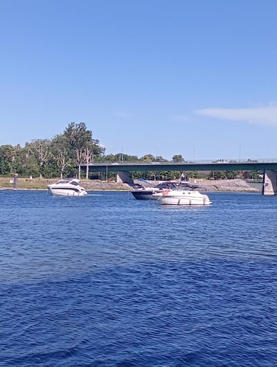 A wide-angle, slightly low-angle view captures three motorboats on a bright, sunny day on a body of water, likely the Rhine River near Biesheim, France. A large, green bridge with traffic spans the background. The water is a deep blue with moderate ripples, reflecting the clear sky.
In the foreground, a white motorboat with a streamlined design is positioned to the left, facing slightly right, its wake trailing behind. To its right, a darker boat is partially visible, then a smaller white motorboat with a more rounded hull, facing left, with an orange life preserver visible on its side.
The background shows a grassy embankment with trees lining the shore. The prominent green bridge, supported by concrete pillars, has several cars visible crossing it. The sky is a clear, bright blue with no clouds. The overall impression is a serene summer day with recreational boating activity.