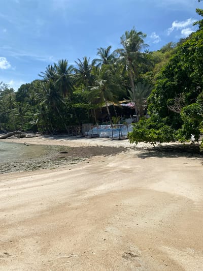 The image depicts a coastal scene in Ban Haad Rin, Thailand. A sandy beach occupies the right half of the frame, transitioning from light beige to a wet, darker shoreline where sand meets shallow water. The left side of the frame features dense vegetation, including numerous palm trees under a bright blue sky with scattered clouds. A building with a semi-open structure, possibly a beachside bar or restaurant, is nestled among the trees. The scene is well-lit, suggesting daytime conditions.