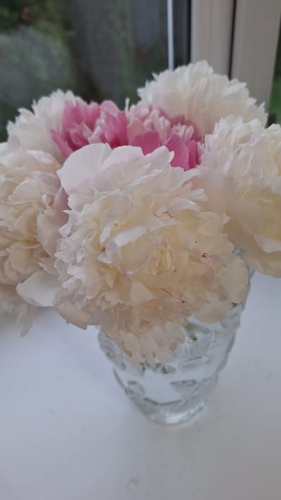 A close-up, eye-level shot shows a bouquet of peonies in a clear glass vase. The peonies are primarily white with hints of pink in the center of some blooms. The vase has a textured pattern and contains water. The bouquet is positioned on a white surface, possibly a windowsill, with a blurred background that suggests an outdoor environment with greenery and a vertical element, like a window frame or building. The lighting is soft, highlighting the delicate textures of the petals. The scene appears to be indoors, near a window, suggesting a domestic setting in Oktyabrsky, Russia.