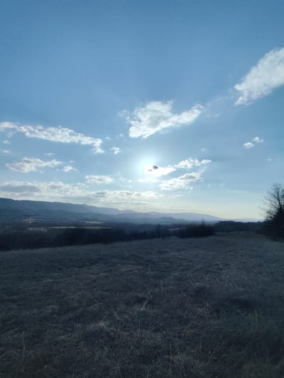 This is a landscape photograph depicting a rural scene in Yankovtsi, Bulgaria. The upper two-thirds of the image present a light blue sky with scattered white cumulus and stratocumulus clouds. The sun is positioned in the upper center-right, appearing as a bright, overexposed light source partially obscured by a cloud, with visible lens flare. A faint white aircraft contrail is present in the upper left quadrant of the sky. The midground features a range of distant mountains or hills extending across the horizon, rendered in shades of blue-grey due to atmospheric perspective. Below the mountains, a valley or lower terrain displays patches of dark, dense vegetation, likely dormant trees, and open fields. The lower third of the image is dominated by a foreground field covered in dry, dormant, brown and grey grass. Bare tree branches are visible on the far right edge, extending into the midground. No human figures, animals, or discernible man-made structures are present within the frame.