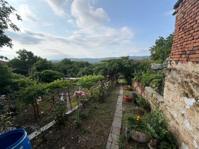 The image depicts a sunlit, overgrown garden path in Gorno Pavlikene, Bulgaria. The path is paved with square stone tiles and winds through a lush garden filled with various plants, including rose bushes in bloom with pink and yellow flowers. A weathered brick wall with peeling plaster borders the right side of the frame, casting a shadow over part of the scene. In the background, rolling hills covered in dense green trees are visible under a sky with scattered clouds. The garden also features a blue plastic barrel, several potted plants, and some outdoor lighting fixtures. The overall impression is one of a slightly neglected but charming rural property.