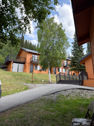 In Denali National Park and Preserve, United States, an outdoor scene shows a row of orange buildings nestled on a grassy slope amidst dense coniferous trees. A paved walkway curves through the foreground, bordered by grass and gravel. One of the buildings features multiple levels with balconies and dark railings, a black door, and windows. Adjacent to this building, a single, tall deciduous tree with a white trunk stands out against the backdrop of darker evergreens. Further to the right, another orange building is partially visible, with a dark-railed staircase leading up to its entrance. The sky above is a mix of blue and white clouds, with green foliage from overhanging trees framing the top of the image.