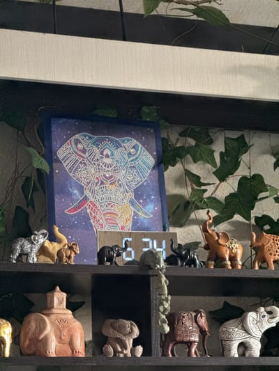 The image shows a shelf decorated with elephant figurines. There are several shelves visible, each containing multiple figurines of varying sizes and colors. The figurines appear to be made of different materials, including ceramic, wood, and possibly metal. Behind the shelf, there's a backdrop of artificial greenery with climbing vines. A framed artwork featuring an elephant's head rendered in a pointillist style with cosmic background is also visible. A digital clock is partially visible, showing numbers in a blocky, LED style. The setting appears to be indoors, likely a private residence. It is not possible to determine if this image was taken in Ново-Никольское, Russia without additional context or information.