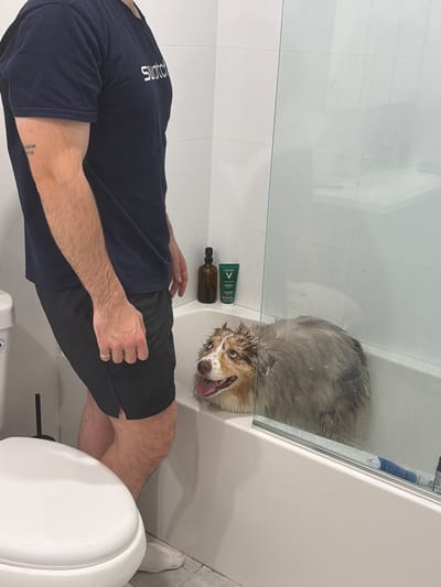 A person wearing a dark blue t-shirt with "Swatch" logo and black shorts stands beside a bathtub. A dog, appearing wet and with its tongue out, is in the bathtub. The bathtub is made of white material and has a glass door. There are toiletries on the edge of the bathtub, including a brown bottle and a green tube of "Vichy" product. A white toilet is partially visible to the left of the person. The scene appears to be in a bathroom. There is no information to suggest this location is in Laval, Canada.