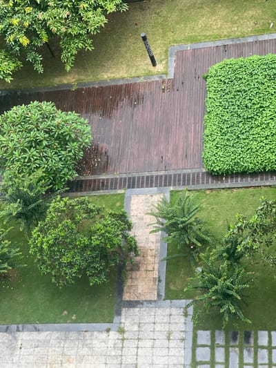 This image is an aerial, top-down view of a paved walkway and garden area in the city of Longgang District, China. The scene is lush with green vegetation, including several trees and a dense hedge. A wooden deck, appearing wet, runs along the top of the frame, bordered by grass. A drainage grate runs parallel to the deck. A paved path, also appearing damp, cuts diagonally across the lower portion of the image. The ground is a mixture of grass, paving stones, and wooden planks. There are no people or animals visible. The overall impression is of a well-maintained outdoor space, possibly a park or residential courtyard.