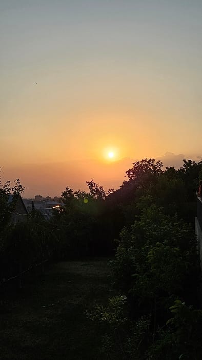 The image captures a sunset scene in Dzoraghbyur, Armenia, viewed from an elevated vantage point. The sky, a gradient from light blue at the top to vibrant orange and yellow near the horizon, is dominated by the bright, circular sun positioned slightly right of the vertical midline. Below the horizon, the distant cityscape of Dzoraghbyur is visible as a dark silhouette, showcasing various residential rooftops and a distinct light reflection from a structure on the left. The midground is occupied by a dense, irregular mass of dark green trees and foliage, heavily silhouetted against the setting sun. The foreground, predominantly in shadow, reveals dark ground cover and peripheral vegetation on the left, consistent with an unlit garden or overgrown yard. On the far right, a gray, vertical architectural element, possibly a wall or railing, frames the scene. A faint, indistinct human form, appearing as a dark shape against the brighter background, is marginally visible at the upper right edge, adjacent to this element. The scene is illuminated by the low sun, creating strong backlighting and casting long shadows.