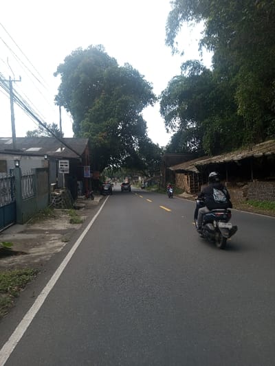 The image depicts a street scene in Niz Lakuk, India, on an overcast day. A dark-colored scooter, bearing license plate "L 2596 VAD," is positioned in the foreground, traveling away from the viewer on a two-lane asphalt road. The rider, wearing a dark jacket with a light design on the back and a dark helmet, is the primary human subject. Further down the road, two dark cars are visible in the left lane, and a red scooter is in the right lane, all moving in the same direction.

The road features a solid white line along its left edge and broken yellow double lines in the center. To the left of the road, a narrow concrete path abuts a series of buildings. The closest building has light-colored walls, a dark tiled roof, and a blue metal gate. Adjacent to it, a smaller wooden structure with a darker roof is partially visible, featuring a white sign with black text, partially readable as "GOENG GALO PUD...". Overhead utility poles with numerous wires are present.

To the right of the road, a rustic structure with a sloped, dark, corrugated or thatched roof is supported by wooden posts. Beneath this structure, stacked wooden planks or logs are visible, resting on a stone retaining wall. Dense green foliage and large trees line both sides of the road, creating an overhead canopy. The sky is uniformly light gray, indicating overcast conditions.