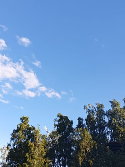 The image shows a clear blue sky with scattered white clouds. The lower portion of the image is filled with the tops of lush green trees, suggesting a natural or park-like setting. A section of a white construction crane is visible amongst the trees, hinting at ongoing development or construction work in the vicinity. The sunlight appears bright, indicating it is daytime, likely late morning or afternoon. The overall scene conveys a peaceful, natural ambiance, albeit with the juxtaposition of the industrial element of the crane. No people are visible in the frame, and no text is present. The context provided indicates the location is Krasnoe Pole, Russia.