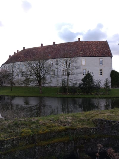 The scene depicts Schloss Burgsteinfurt in Burgsteinfurt, Germany, under an overcast sky. The primary subject is a large, multi-story building with a light-grey or white stucco facade and a reddish-brown tiled roof. Seven brick chimneys are visible along the roofline. The building's walls feature numerous rectangular windows, mostly with white frames.
In front of the building, a manicured green lawn extends to a dark, reflective body of water, likely a moat, which mirrors the cloudy sky and surrounding vegetation. Several bare deciduous trees with dark, gnarled branches are positioned between the building and the water. Clumps of yellow-flowering plants, consistent with daffodils, are visible along the water's edge and near the building's foundation. A tall, sculpted dark green hedge is present at the far right corner of the building.
The immediate foreground reveals a moss and grass-covered earthen bank, supported by a gabion wall constructed from wire cages filled with rocks, which borders the dark water. No human figures or discernible activities are present within the frame. The sky is largely white and light grey with diffuse clouds.