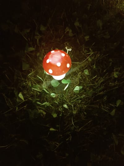An illuminated mushroom-shaped garden ornament sits amidst grass and clover at night. The ornament is red with white spots and emits a soft, warm light. The surrounding environment is dark, with visible blades of grass and small green leaves. There are no people or animals present. The scene appears to be a residential garden or park. The exact location in Tervel, Bulgaria cannot be determined from the image alone.