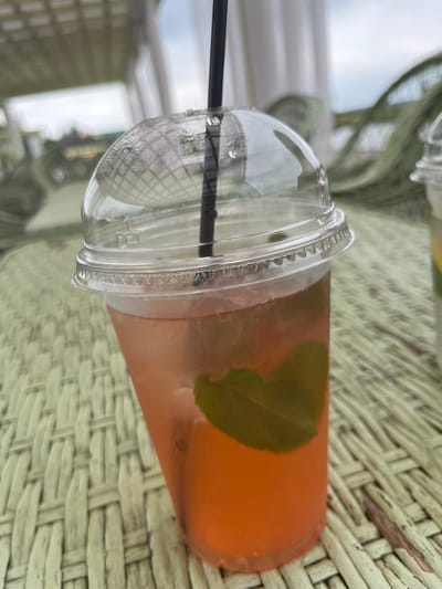 An outdoor scene captured in Severynivka, Ukraine, features a close-up of a clear plastic cup filled with a pinkish-orange beverage. A black straw extends from the top of the cup, which is covered by a domed plastic lid. Inside the drink, a fresh green leaf, likely mint, is visible, floating towards the bottom of the cup. The cup is placed on a textured, woven surface, possibly a table or placemat, with a pale green hue. In the background, out of focus, are hints of a covered outdoor seating area with white fabric drapes and a glimpse of a cloudy sky. Another partially visible plastic cup is present to the right of the main subject. The lighting suggests an overcast day.