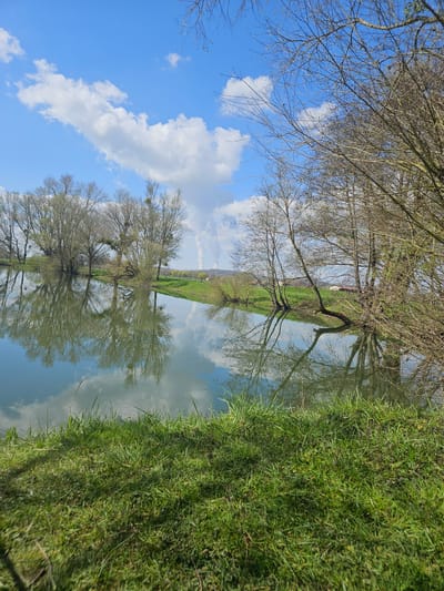 The image depicts an upside-down view of a landscape in Gavisse, France. The sky, adorned with scattered clouds, occupies what appears to be the lower portion of the image. Bare trees and their reflections are visible in a body of water, likely a pond or a river. Lush green vegetation lines the water's edge, creating a boundary between the aquatic and terrestrial environments. A thin strip of land with greenery is visible in the center of the image where the tree reflections intersect.