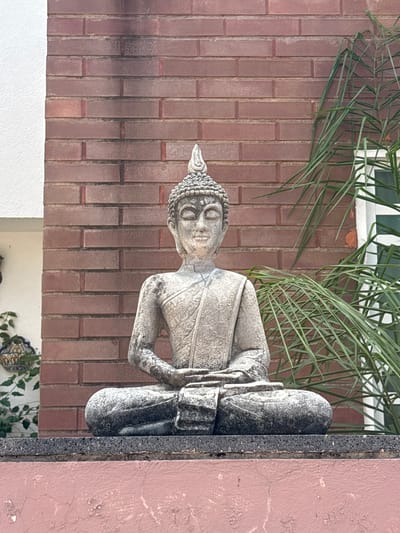 A medium shot depicts a weathered stone statue of a Buddha-like figure in a seated lotus position with hands folded in the lap. The statue is positioned outdoors, adjacent to a red brick wall. A green leafy plant extends from behind the wall and over the top of the statue. A pink wall is visible to the right of the statue. The image was taken in Tezoyuca, Mexico.