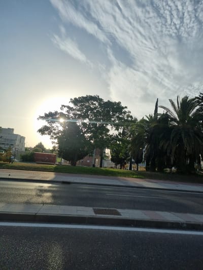 The image depicts a street scene in Jerez, Spain. The sun is low in the sky, casting a bright, diffused light through the branches of a large tree. The sky is filled with wispy, cirrus clouds, suggesting a fair weather day. Palm trees and other lush greenery line the side of the road, which is paved with asphalt and has a sidewalk with a brick pattern. Buildings, some appearing residential and others possibly commercial, are visible in the background. One building features a large, red shipping container with visible text, possibly for advertising or storage. The lighting and scattered clouds indicate it is either early morning or late afternoon. There are no people visible in the image, and the overall mood is peaceful and serene, capturing a moment of natural beauty alongside urban infrastructure.