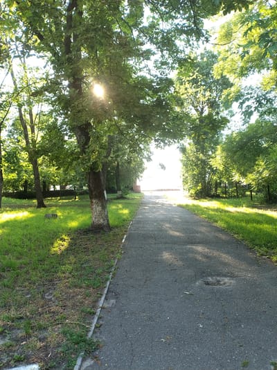 The image depicts a sun-dappled path lined with trees and grass. The perspective is from a slightly elevated, horizontal angle, with the path curving away into the distance. Sunlight filters through the dense green foliage, casting bright spots on the asphalt path and the surrounding grass. The path itself appears to be made of asphalt and shows signs of wear, with some cracks and debris. To the left of the path is a strip of vibrant green grass, transitioning into the shade of mature trees. These trees have thick trunks and a canopy of leaves that create patterns of light and shadow. On the right side of the path, the grass is also visible, with some areas appearing drier and sparser. A black metal fence can be seen in the background, marking the edge of the property. The overall scene suggests a peaceful, outdoor setting, possibly a park or a quiet street on a sunny day. The strong sunlight indicates it is likely midday or late afternoon. There is no visible text in the image.