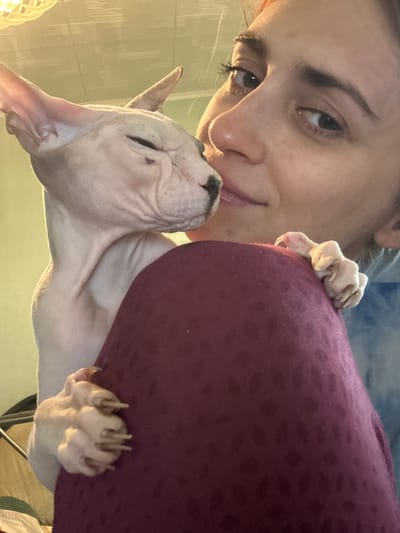 A close-up, waist-up shot shows a person's face and shoulder, with a Sphynx cat nuzzling the person's cheek. The person is looking towards the camera with their eyes open and a slight smile. The cat is facing the person, with its eyes closed, and its mouth slightly open as if licking or kissing the person. The cat's paws are holding onto the person's shoulder, with its claws visible. The person is wearing a blue tie-dye hoodie. The background is softly lit and out of focus, with hints of green and yellow. There is no identifiable information about the location in Togliatti, Russia.