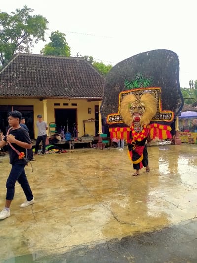 A man wearing a black shirt and blue jeans is walking in a concrete yard in front of a house in Kecamatan Kedawung, Indonesia. The man has his right hand on a whip. Another man in a white shirt and black shorts is standing in the yard. There are some objects in the yard, including a water cooler, chairs, and a large, black, decorated puppet depicting a tiger. The puppet has red, yellow, and black decorations, and is standing in the yard. The background includes a house with a tiled roof and trees. The ground is wet, suggesting that it has recently rained. There are other people visible in the background.  The scene appears to be a traditional Indonesian cultural event.