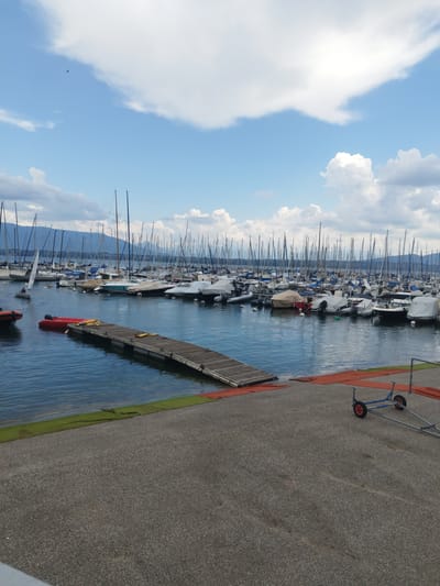 This image depicts a busy marina filled with sailboats docked in calm blue water. The scene is set against a backdrop of distant, hazy mountains under a bright, partly cloudy sky. The time of day appears to be daytime, with good visibility and a pleasant atmosphere, suggesting fair weather.
The marina is teeming with numerous sailboats of varying sizes, their masts creating a dense forest of vertical lines against the sky. Many of the boats are covered with protective tarps, indicating they are not in active use at this moment. A wooden walkway extends from the shore into the water, with a small red inflatable boat moored nearby. Another similar red boat is positioned further out in the water. A single sailboat with a white sail is actively sailing in the foreground, with a person visible in its cockpit.
The foreground of the image shows a paved area adjacent to the water, with a small trailer for a boat resting on wheels. Orange mats are laid out on the ground near the water's edge, possibly for staging or protection. The overall setting suggests a recreational area for boating and water activities. There is no visible text in the image. The location context of Versoix, Switzerland, hints at a possible European lakeside setting.